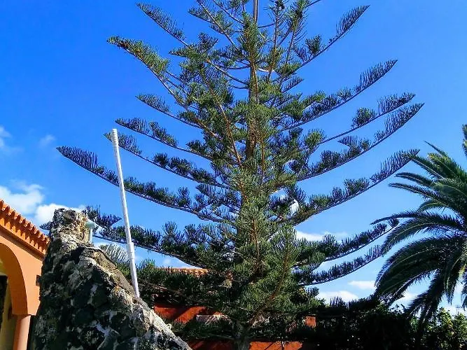 Casa Mami * لاجاريس