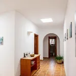Casa Mami *